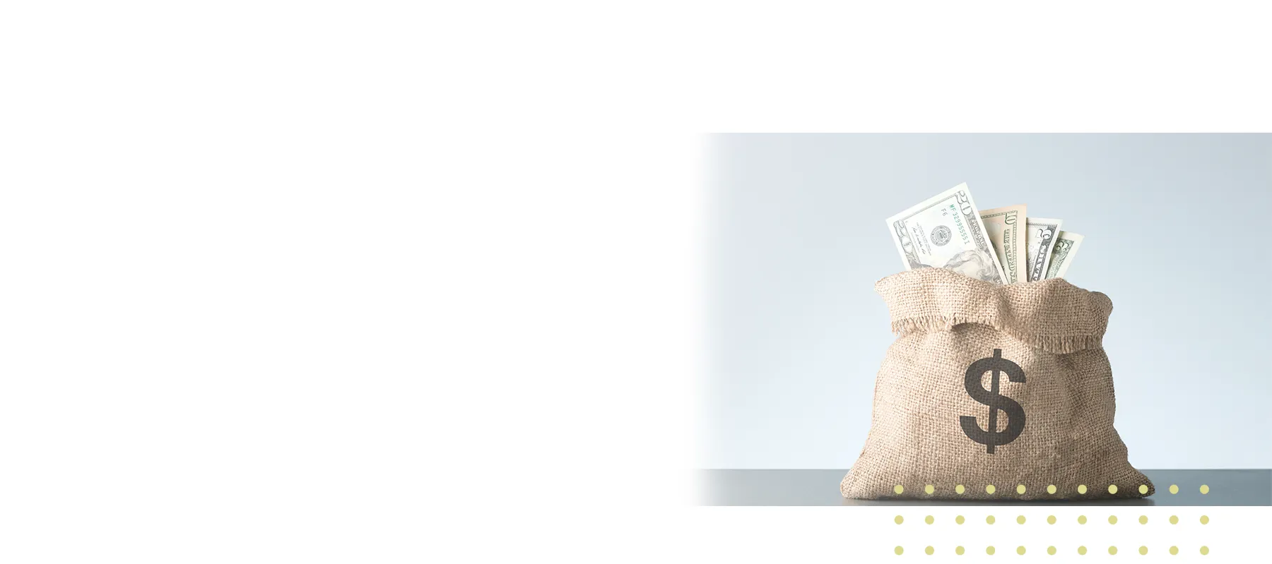 bag of money